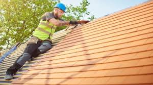 Best Skylight Installation and Repair  in Mount Pleasant, SC