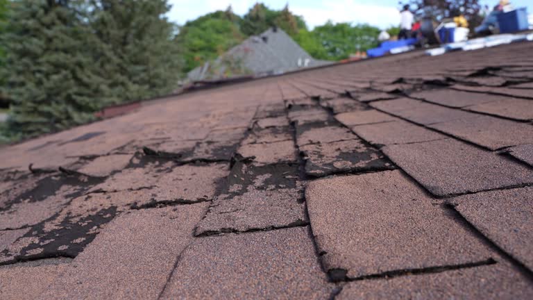Best Rubber Roofing (EPDM, TPO)  in Mount Pleasant, SC