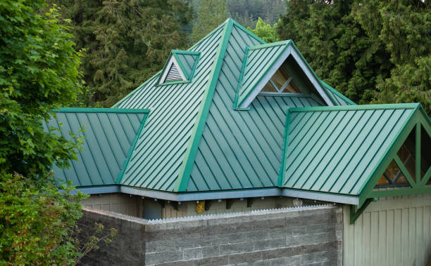 Best Roof Insulation Installation  in Mount Pleasant, SC