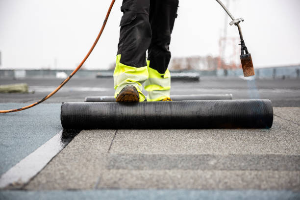 Best Gutter Installation and Repair  in Mount Pleasant, SC